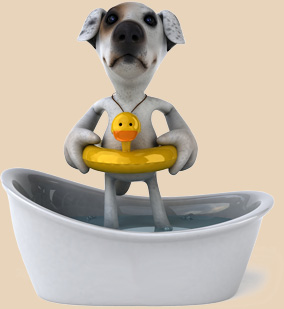 Noby badet