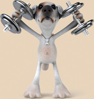 Noby macht Krafttraining