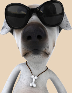 Noby mit Sonnenbrille
