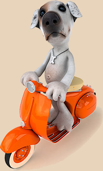 Noby fährt mit einer Vespa
